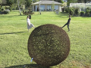 Mica Grange Open Gardens 2